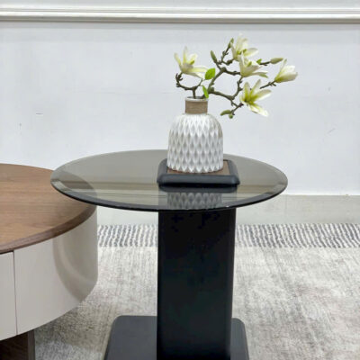 Ban sofa doi nhap khau MD 2067.8